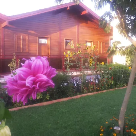 Apartamento Cozy With Jacuzzi In Matas 20m² *
