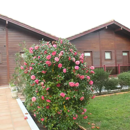 Cozy With Jacuzzi In Matas 20m² Apartment *