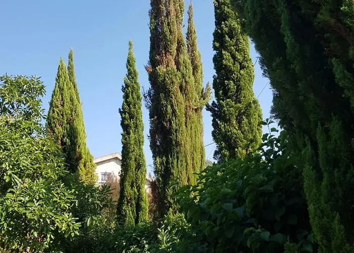 Cozy Studio With Jacuzzi In Matas 20M²